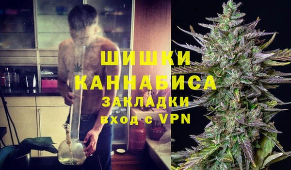 apvp Ельня