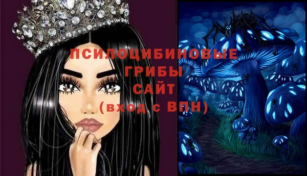 apvp Ельня