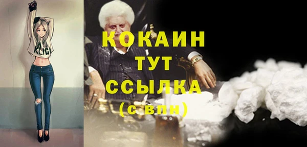дживик Елизово