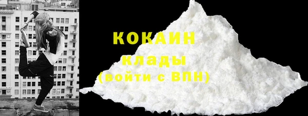 apvp Ельня