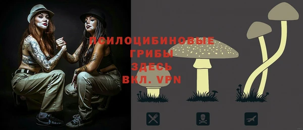 дживик Елизово