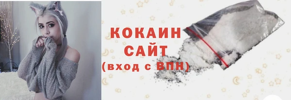 apvp Ельня