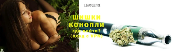 apvp Ельня