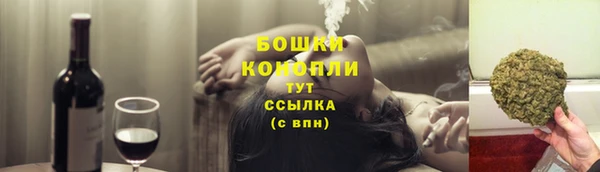 apvp Ельня