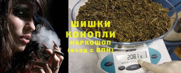 apvp Ельня