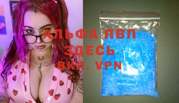 apvp Ельня