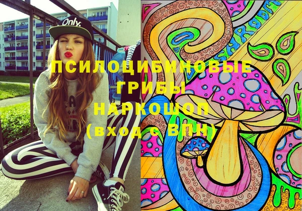 apvp Ельня