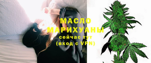 apvp Ельня