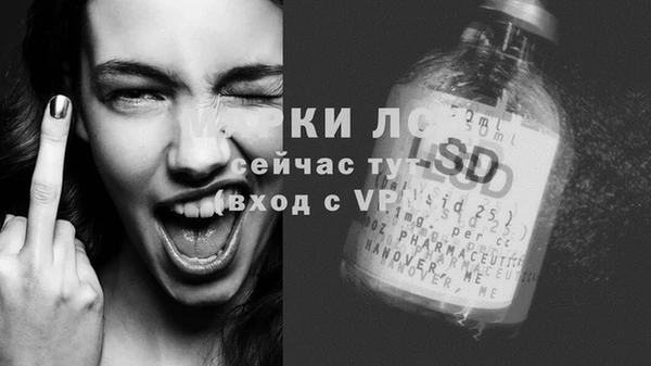 apvp Ельня