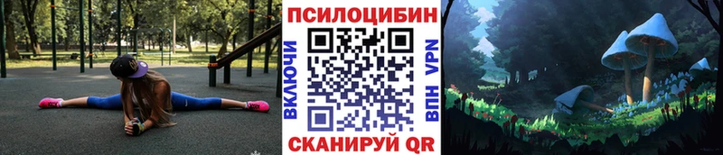 Купить  Хилок  Псилоцибиновые грибы Magic Shrooms 